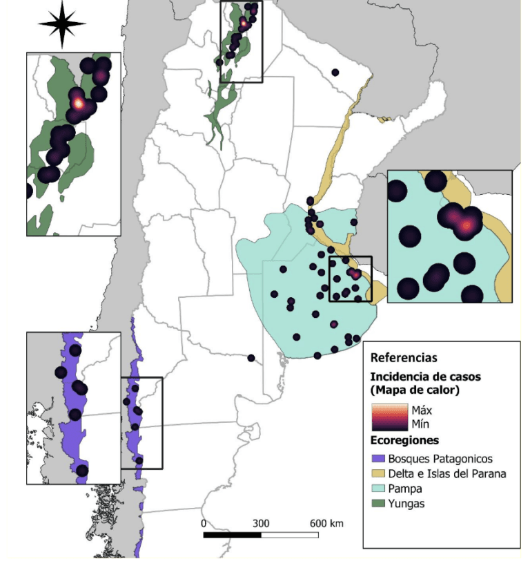 spatial distribution and intensity of hantavirus cases by ecoregion during the current 2025–2026 season